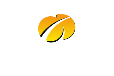 onlydrive.com logo